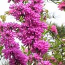 해찬농원 이미지