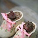 대전두리초등학교 이미지