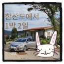 개똥골펜션 | [섬여행] 한산도 펜션 기록남겨봅니다._개똥골(?)펜션