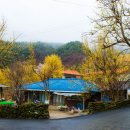 일진농장 이미지