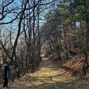 해파랑길 50코스 이미지