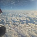 로얄카인테리어 | 11월 오키나와 3박 4일 : 더 부세나테라스 2박후기 , 오달 렌트카 후기