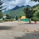 돌고래 오토 캠핑장 이미지