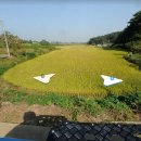 양지-3170 이미지