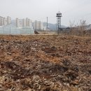엄마네텃밭 양주로스팅 이미지