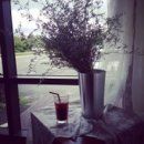 카페 엘(CAFE L) 이미지