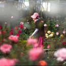 성산공원 이미지