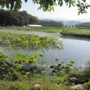 양주농장 이미지