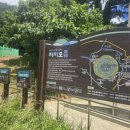 저지오름주차장 | 제주 저지오름 반려견 동반 산책기, 골든리트리버 감자와 걷는 숲길