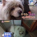 환웅농장 뉴스엔