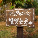 연이바
