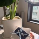 기독교선물세트 핸드드립선물세트 결혼식돌잔치답례품 유오디아 드립백 세트 맛 후기
