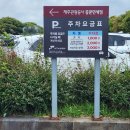 중문동-23 | 5월 제주 가볼만한곳 주상절리대 산책로
