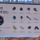 부천중동점원조쌈밥집 이미지