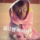 영훈택시노동조합 | 때가 왔고 그녀는 사랑에 빠졌던 것이다