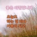12월12일 점팔이품바 홍단이품바 와 콜라보 실시간방송 중입니다 이미지