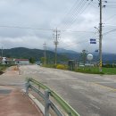 중간상사리 이미지