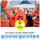 후포리건어물수산 | 울진축제, 울진대게와 붉은대게 축제를 즐기다