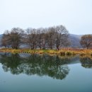 경안천습지생태공원 이미지