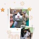 짱구와 동팔이 이미지