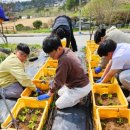 일환농장 이미지