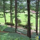 고요산책 이미지