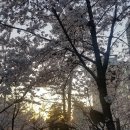 꼼꼼이옷수선 이미지