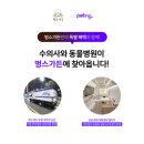 멍스가든 이미지