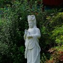 영혈사 - 1370 | 영혈사