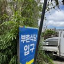 부촌식당 | [제주도 맛집]내돈내산 제주 구좌 갈치조림 혼밥 맛집 ‘부촌식당‘후기