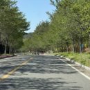 정남진골프연습장 이미지