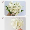 플로즈제이