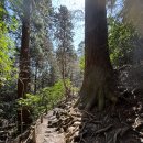 🌳업보와 황금률,균형과 흡인력의 법칙 이미지