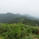 (주)보성교통 Daum카페