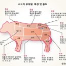 안심가든