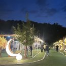 (주) 무수아취