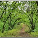 연인산마트