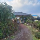 영일민박 이미지