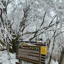 간월산 신불산 영축산 이미지