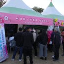 슬기로운 블럭코딩 이미지