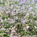 빛깔고운떡 이미지