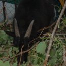 삼칠농장 이미지