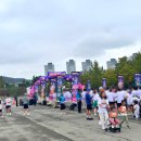 (주)베스트칩 | 대전 마라톤 2025 빵빵런 10km 후기 주차 기념품 기록 보는 법