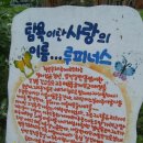 루피니스 이미지