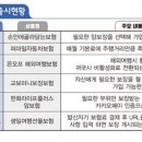세대 동행미디어 시대