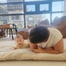 스테이 두몽 | 6개월아기와 대부도 신상 풀빌라 펜션 스테이두몽 가족여행 후기 🏠
