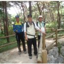 무수길-1 Daum카페