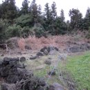 성읍리-25 이미지