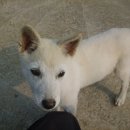 은지농장 이미지