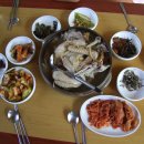 촌닭백숙옻닭 이미지